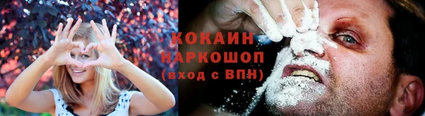 сатива Армянск