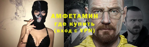 шишки Осташков