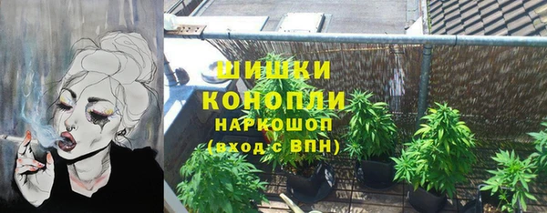 сатива Армянск