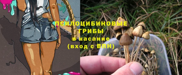 2c-b Арсеньев
