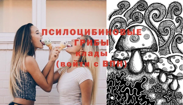 сатива Армянск