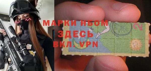 сатива Армянск