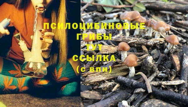 2c-b Арсеньев