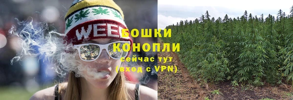 сатива Армянск
