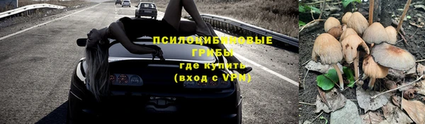 apvp Переславль-Залесский
