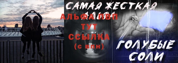шишки Осташков