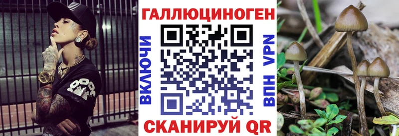 Галлюциногенные грибы прущие грибы Темников