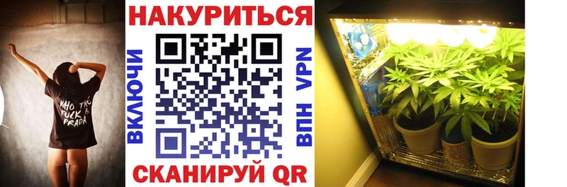 Канабис OG Kush  магазин    Темников 